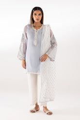 Stitched Embroidered Cotton Net Shirt + Dupatta
